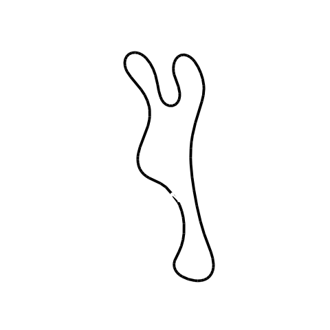 Track Map